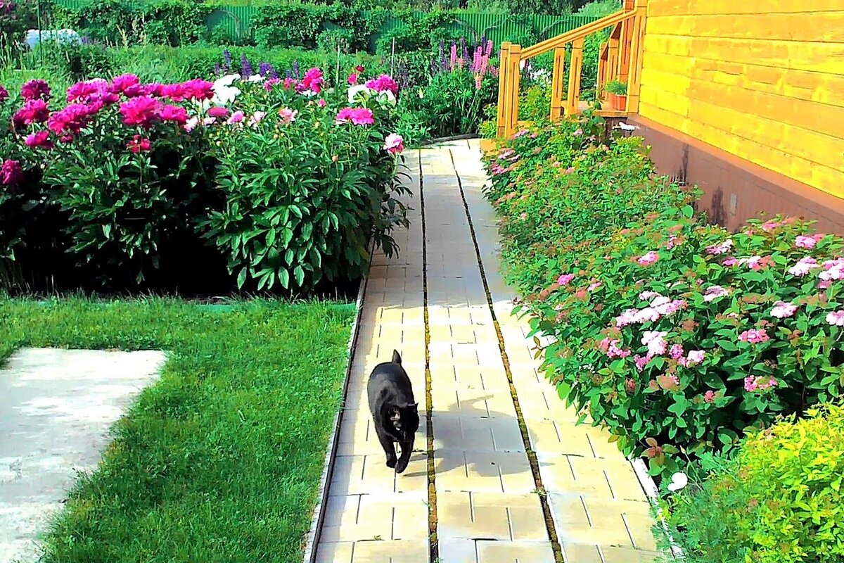 Июнь прошлого года. Фото автора.