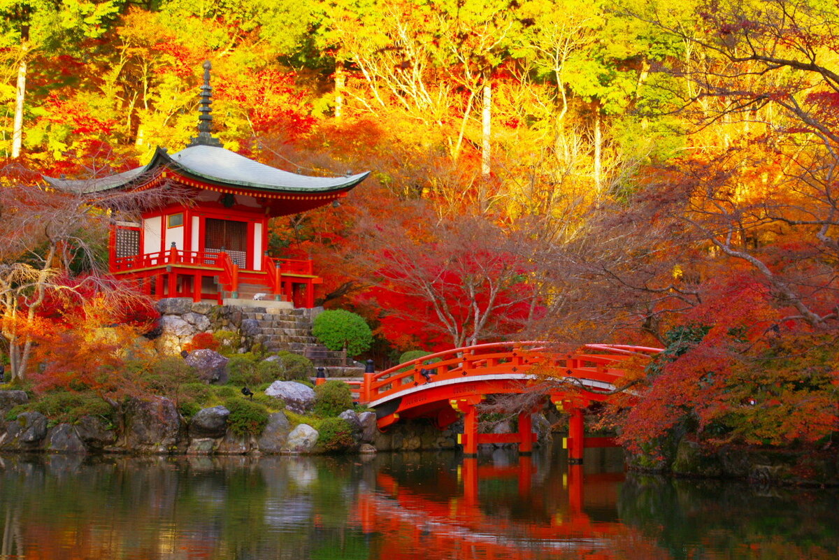 Осень - прекрасная пора, чтобы посетить Японию