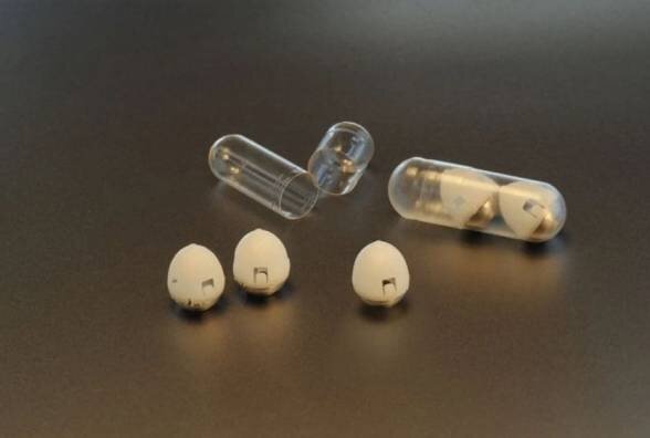 Фотография взята с Яндекс Картинок для дополнительной иллюстрации публикаций