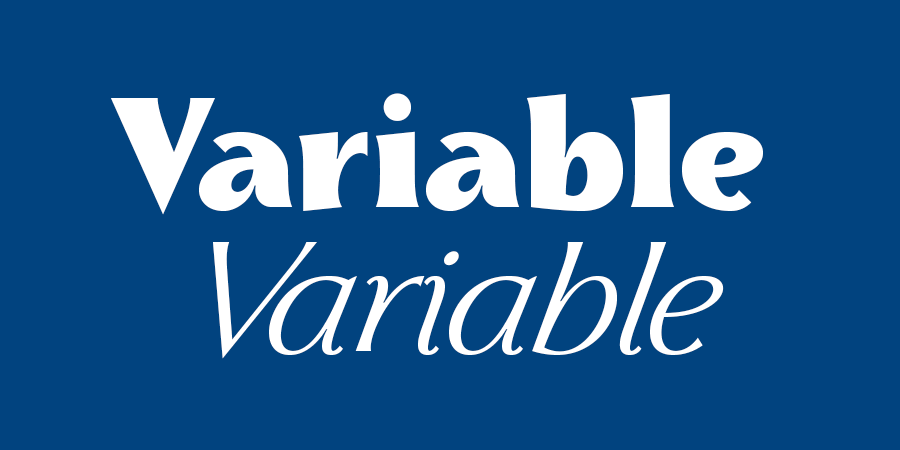 Skiff Variable Font Family