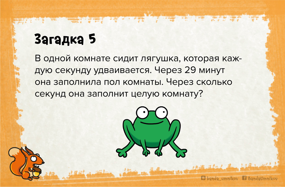 В одной комнате сидит лягушка... 3 хитрые логические загадки с подвохом 🐿  | Банда умников | Дзен