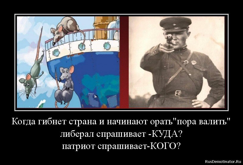 Очень верно=) фото из открыытых источников Яндекс. Картинки