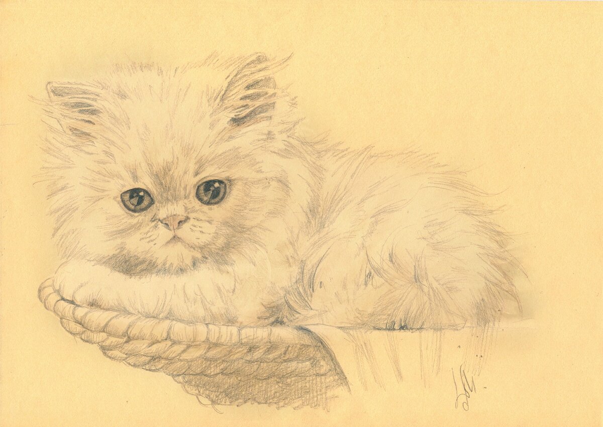 мой рисунок