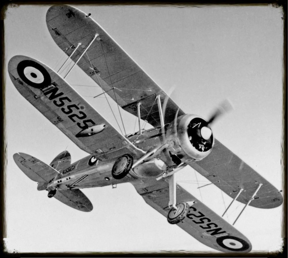 «Си Гладиатор»