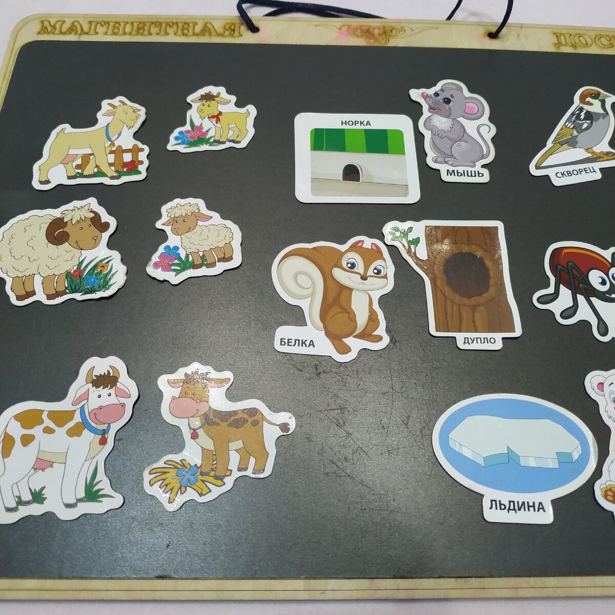 Производитель: АНДАНТЕ. На фото наборы: мама и малыш и кто где живёт. Так же есть набор кто что ест. 