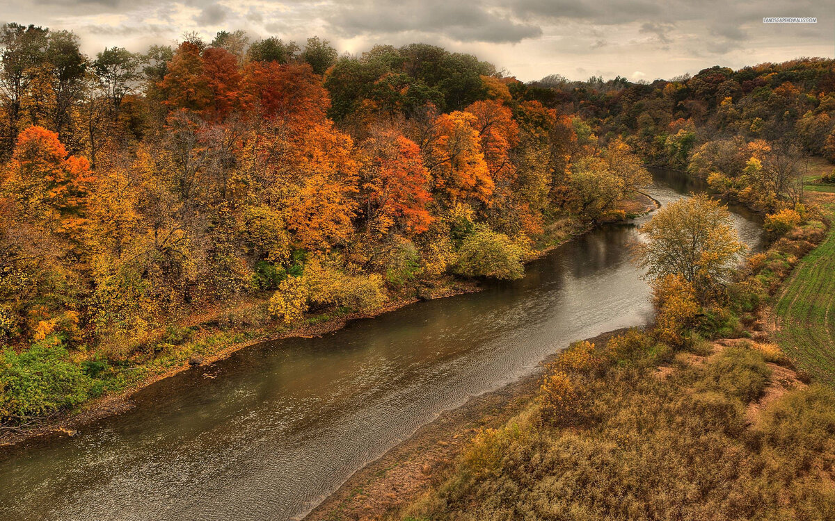 Фото - Яндекс.Картинки