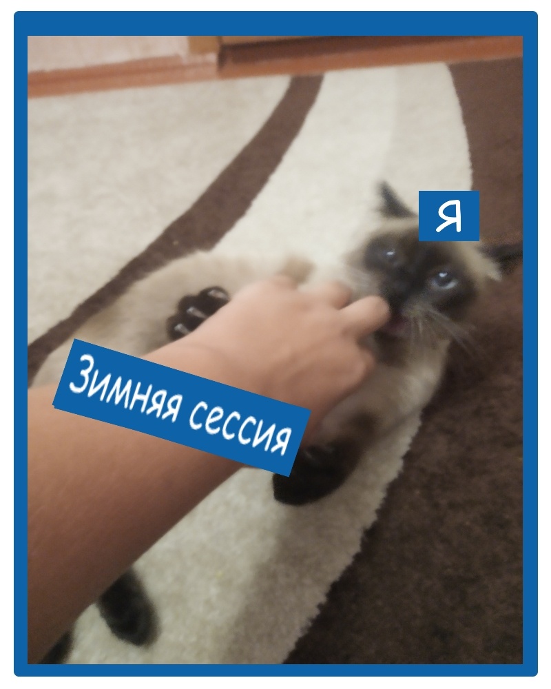 Оформление мема - "Дземчик".