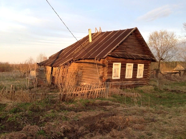 Кабаны погуляли...