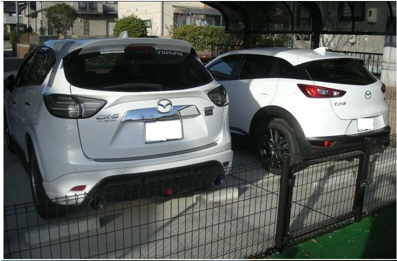 Вид сбоку сзади.