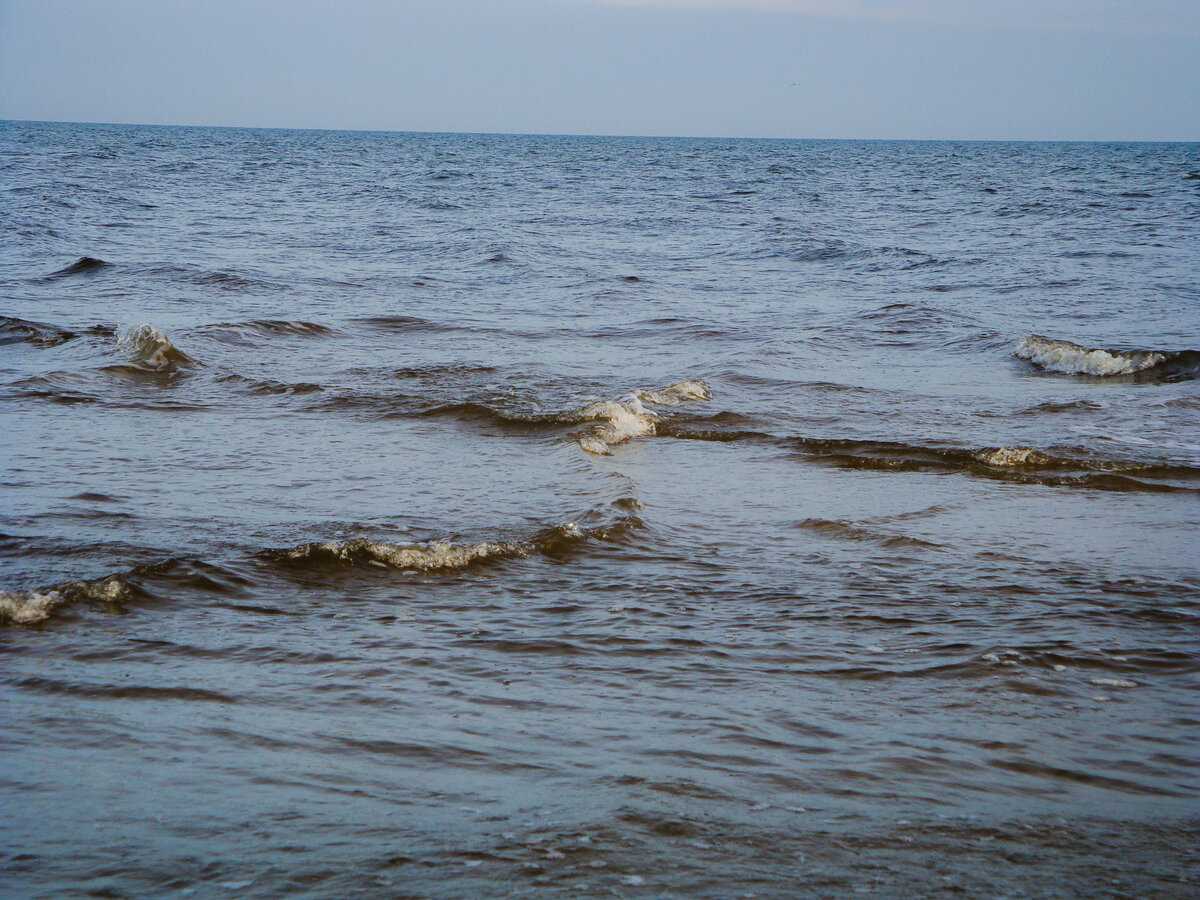 Поэтому черное балтийское красное море. Дедалус египет риф. Мыс колка. Водоросли красного моря. Поэтому черное балтийское красное море.