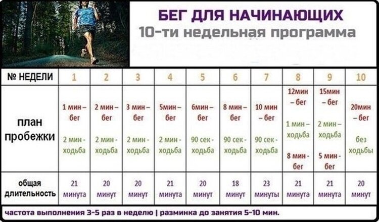 примерная программа на 10 недель