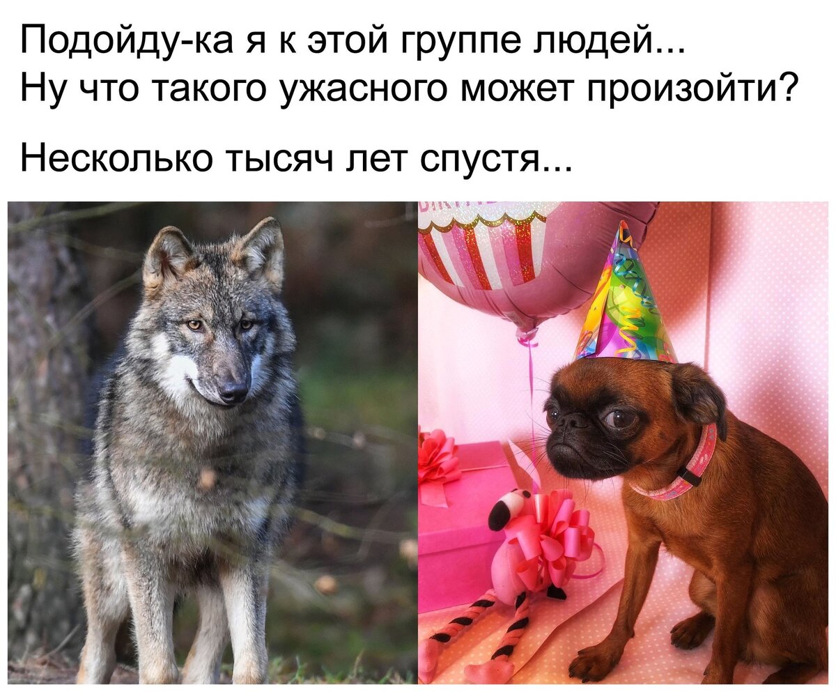 До/после