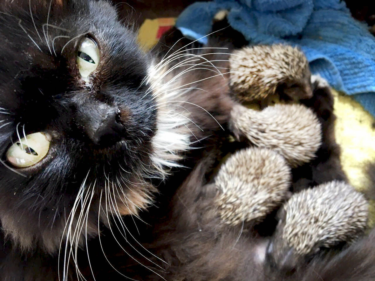 Фото Яндекс Картинки