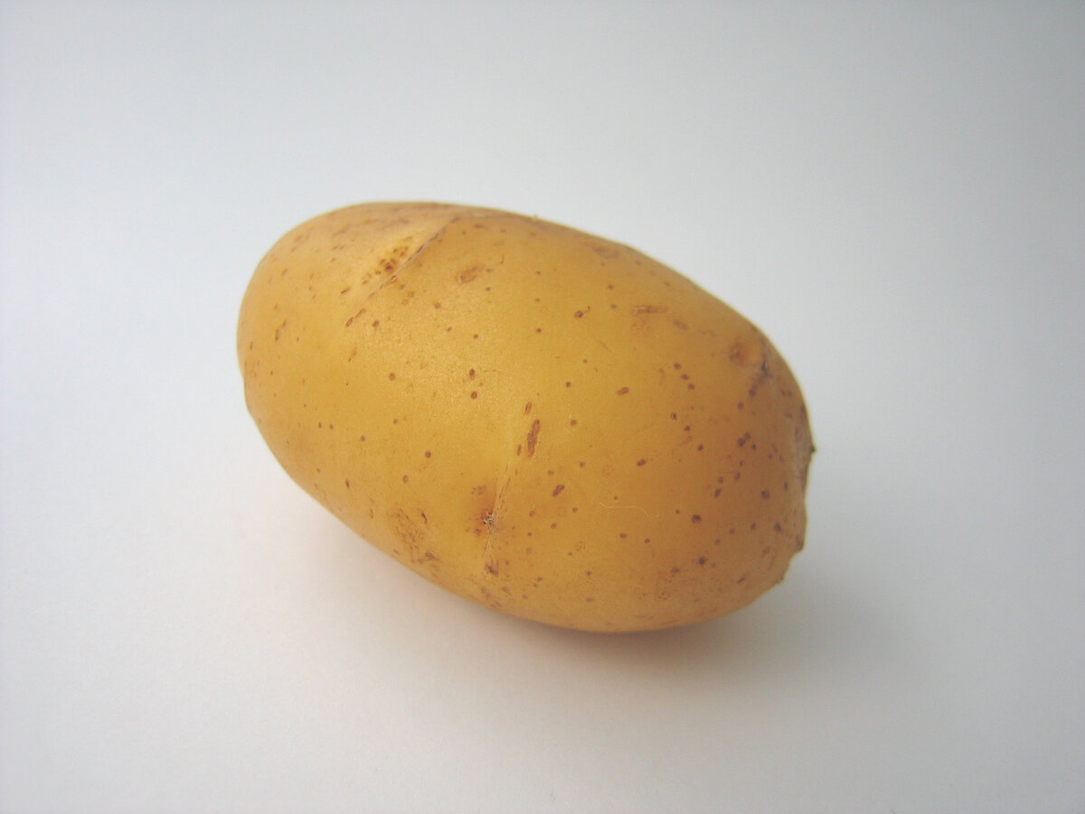 Джелли картофель характеристика отзывы