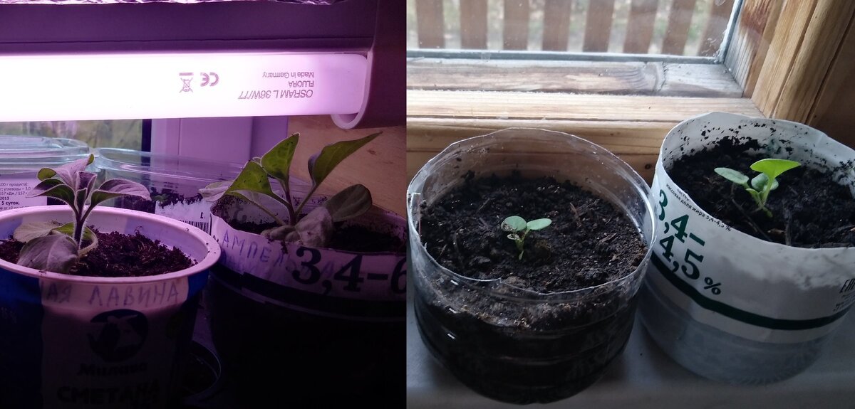 Круглые ёмкости невозможно установить максимально плотно.