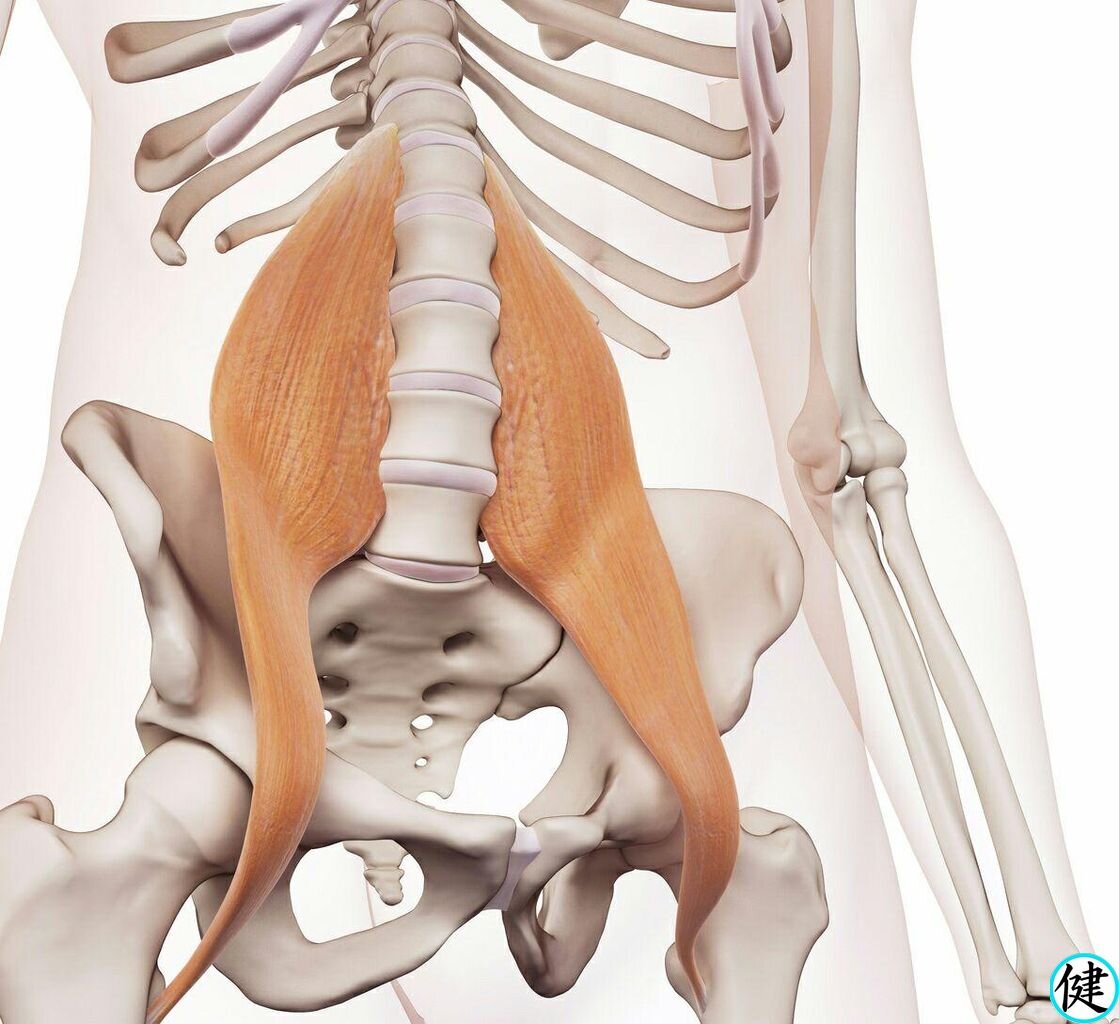 фото взято на сайте: yandex.by/images