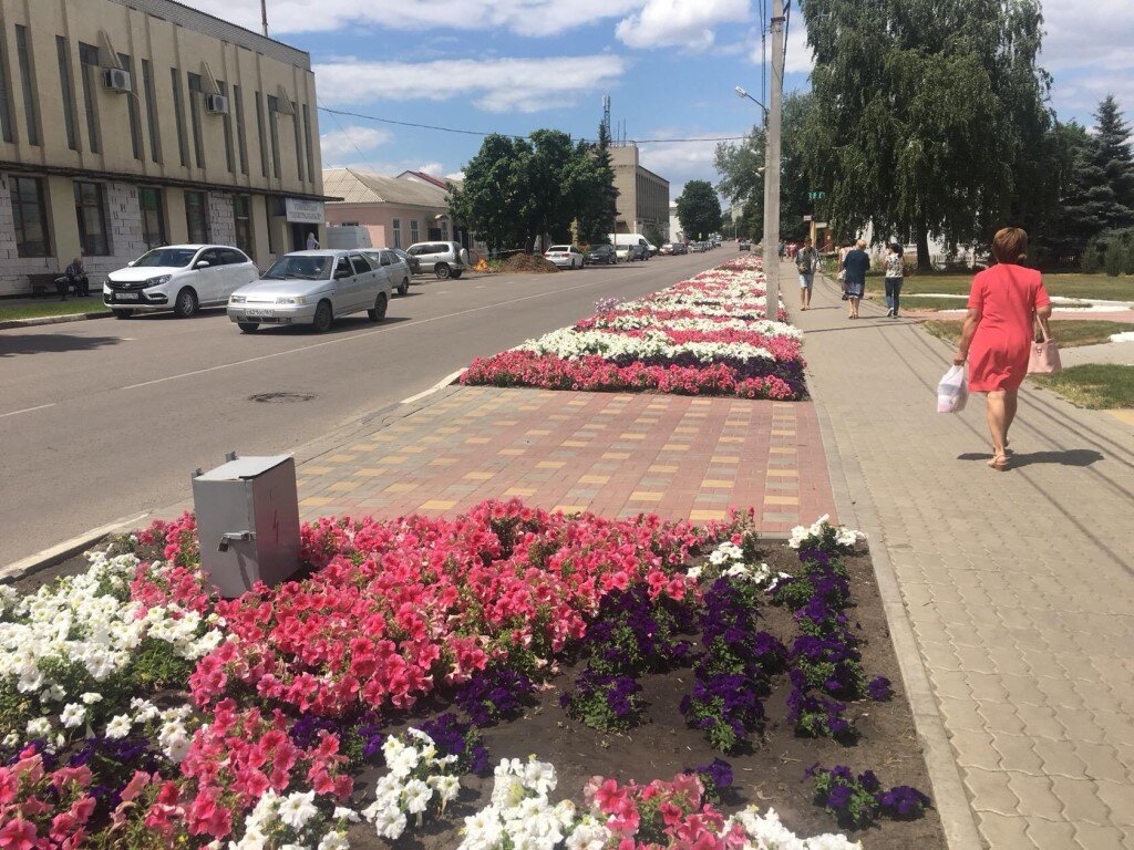 Погода в чертково на неделю ростовской области. Чертково Ростовская область. Поселок Чертково. Посёлок Чертково Ростовская. Парк Чертково Ростовской области.