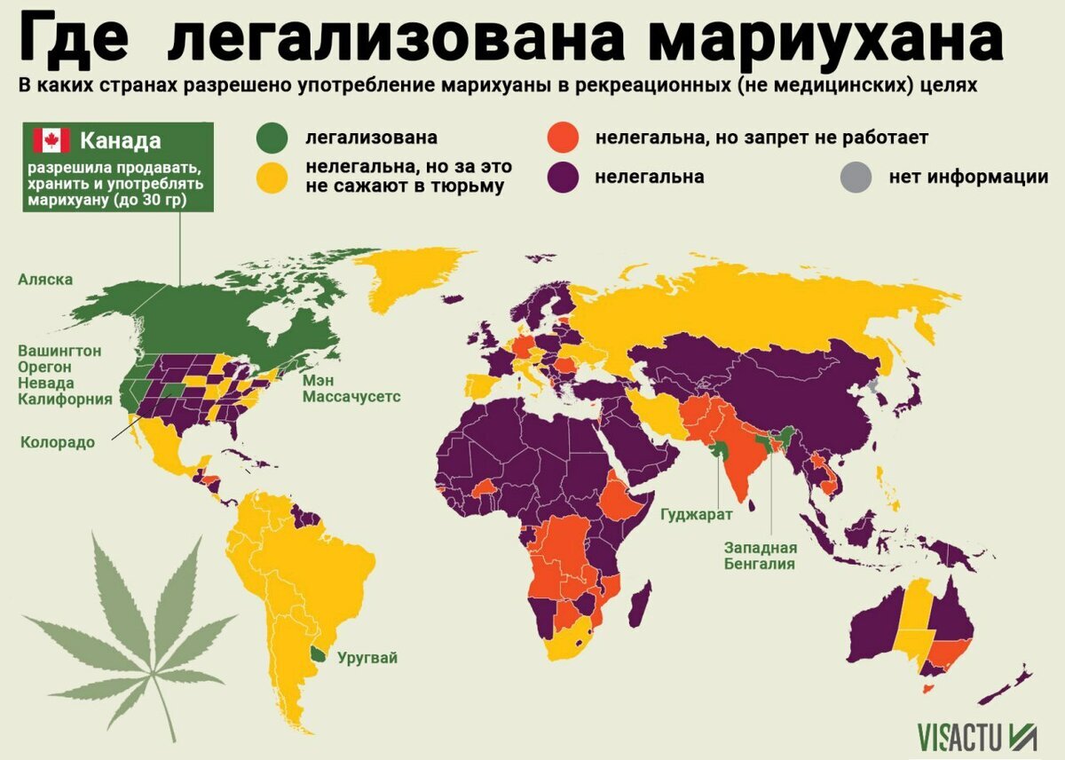марихуана легализована в странах