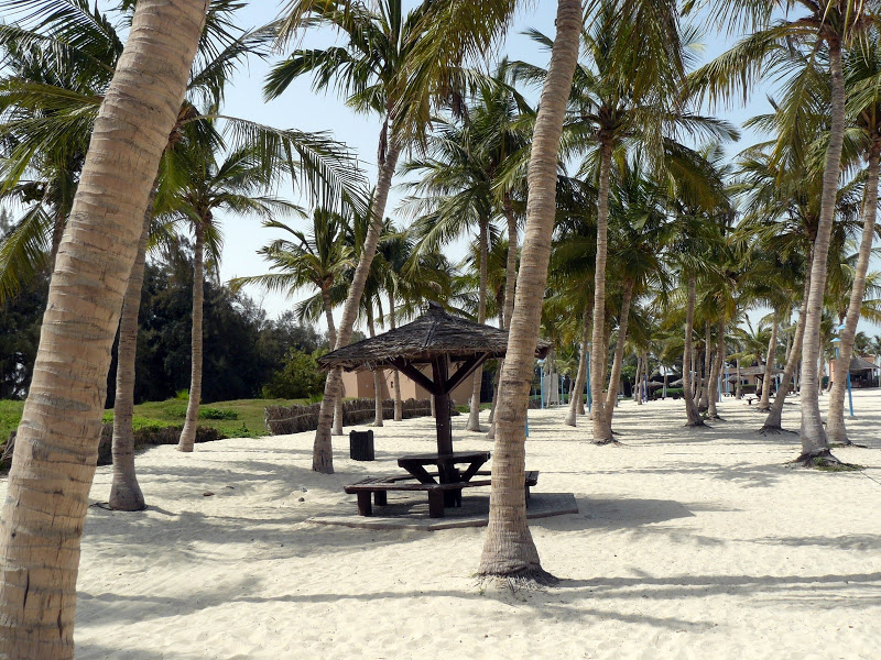 Jumeirah Beach Park