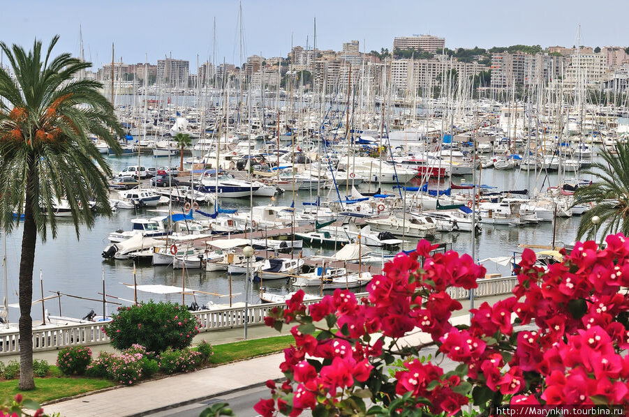 источник Яндекс картинки