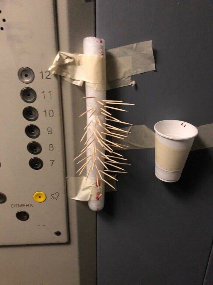 Фото взято из открытых источников