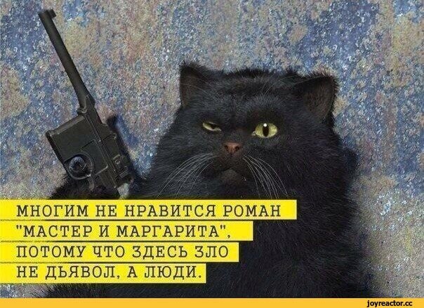 Фото из сети.