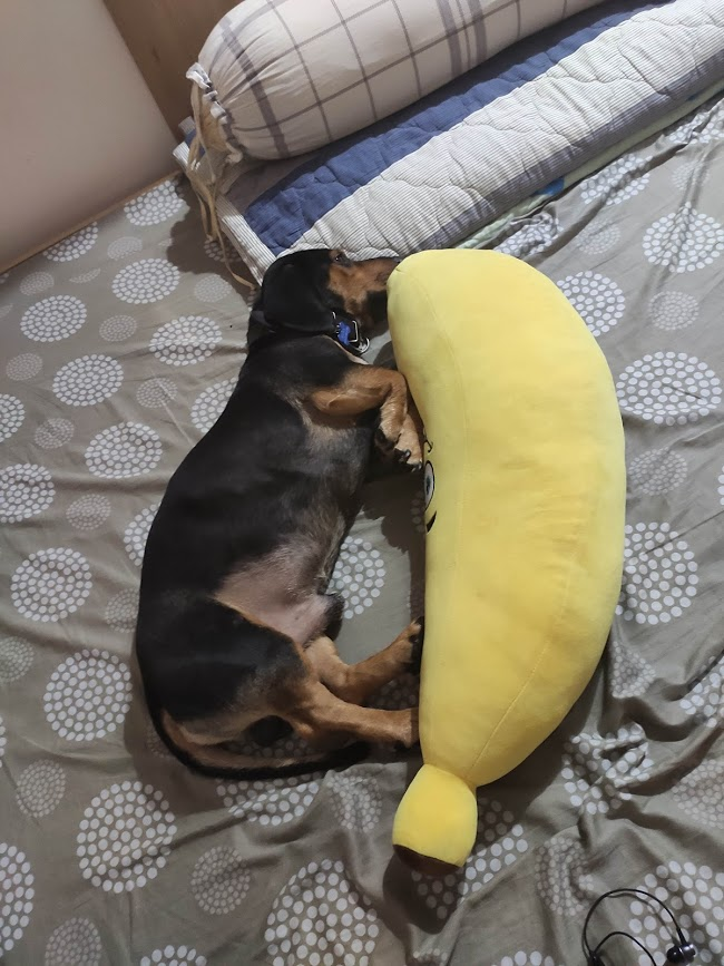 Я теперь тоже буду овощем валяться весь день дома