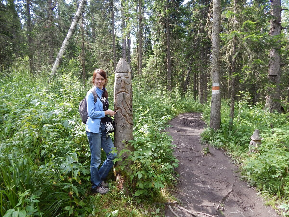пожар в еловом лесу. с праздником леса. смотритель леса профессия. комитет лесного хозяйства день работника леса. до смотрителя леса.
