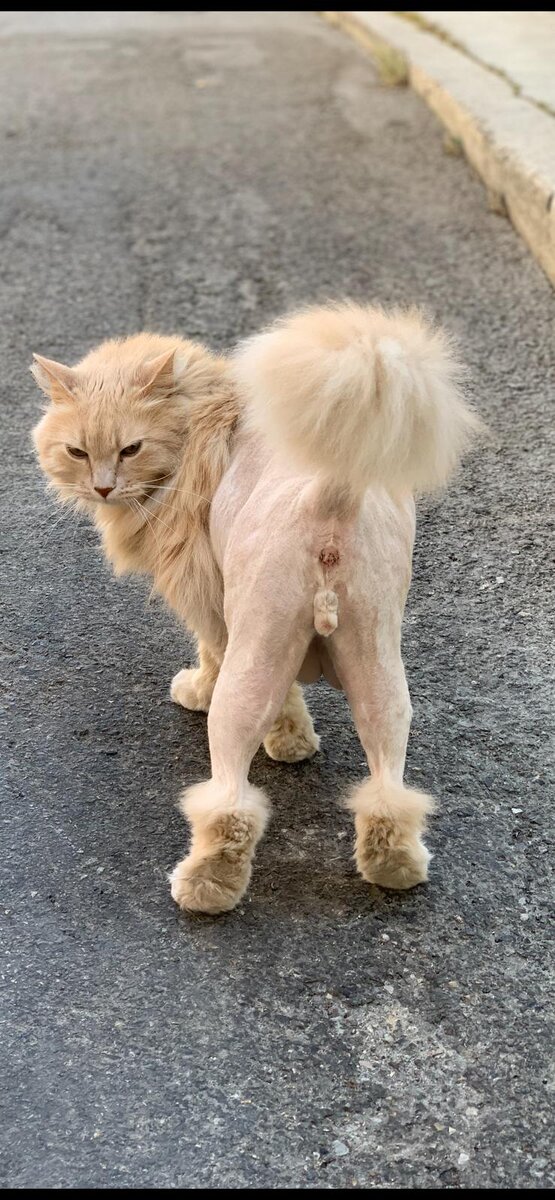 фото канала "obankrotim@