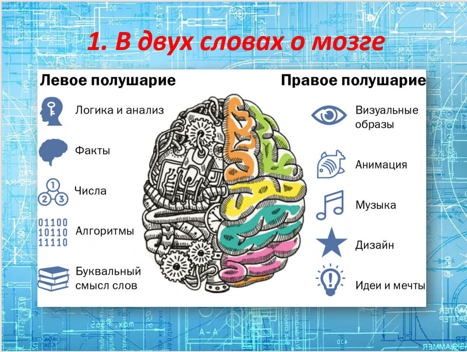 Как функционирует мозг человека. Левое и правое полушарие мозга. Правое и левое полушарие мозга за что отвечают. За что отвечает левое полушарие. За что отвечает левое и правое полушарие головного мозга.