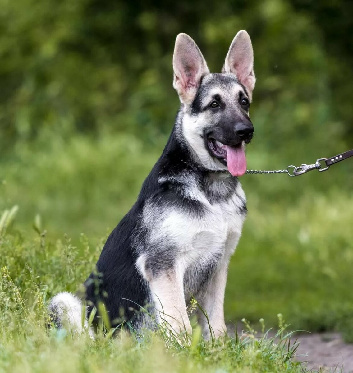 Фото из интернета