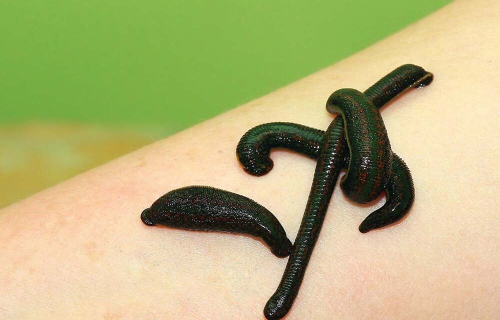 Фото для примера