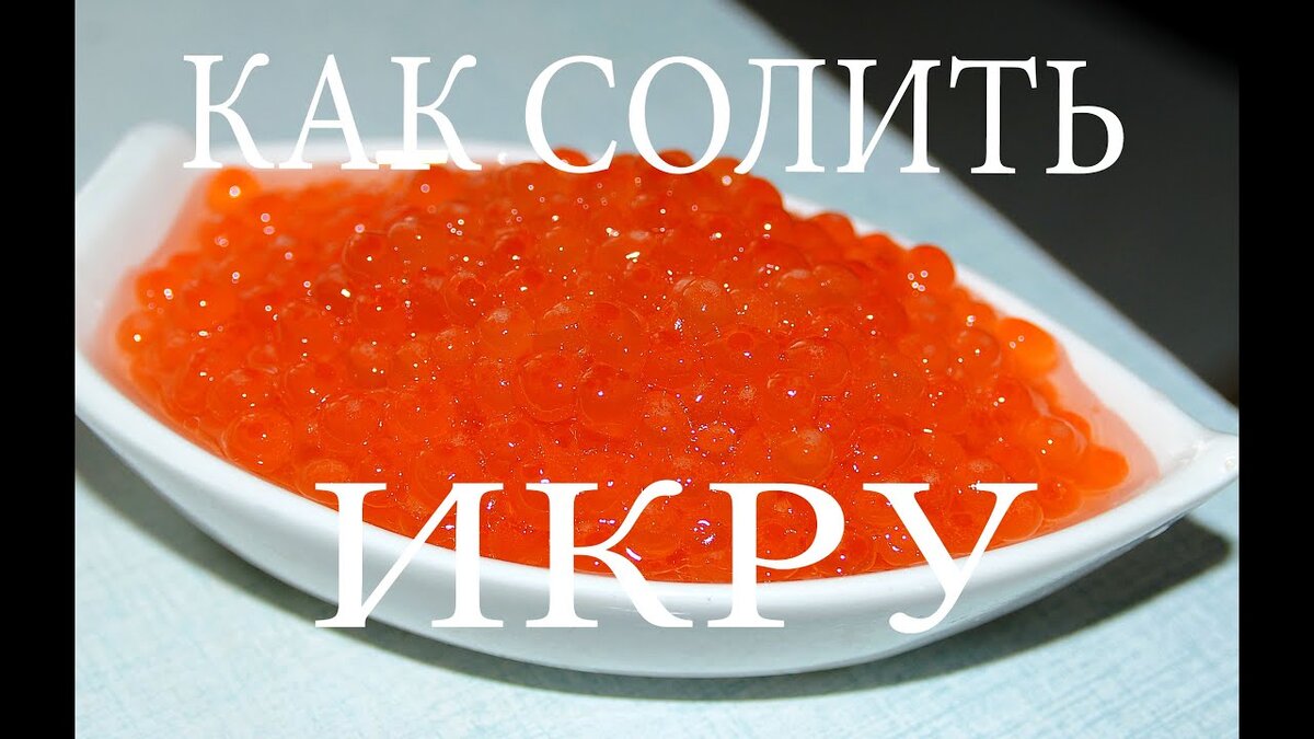 Фото взято из открытых источников 
