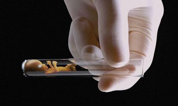 Жизнь в пробирке