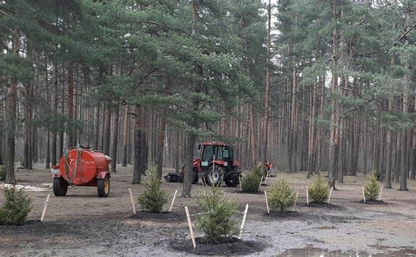 Фото: пресс-служба комитета по благоустройству Петербурга