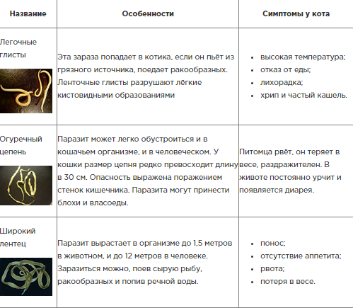 Каких размеров бывают глисты. Каких размеров бывают глисты