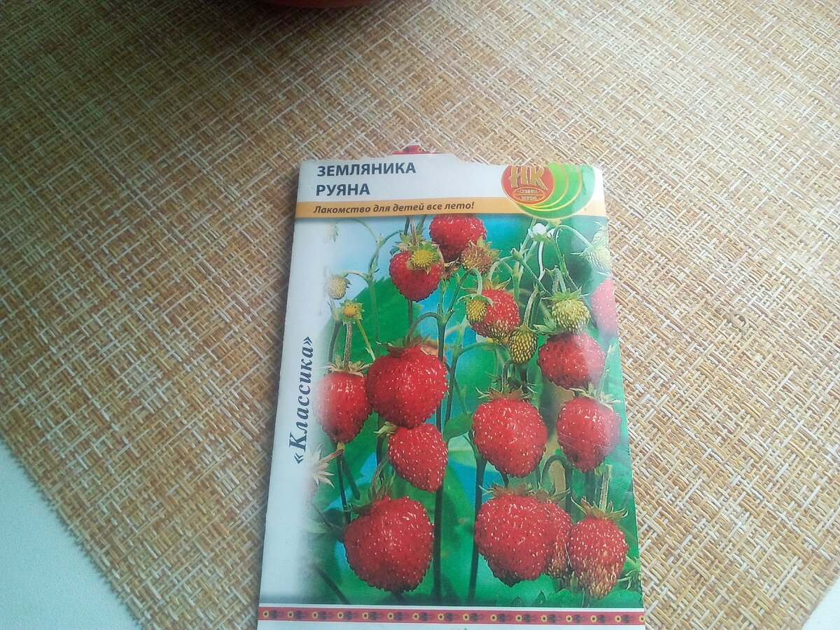 Семена земляники ремонтантной
