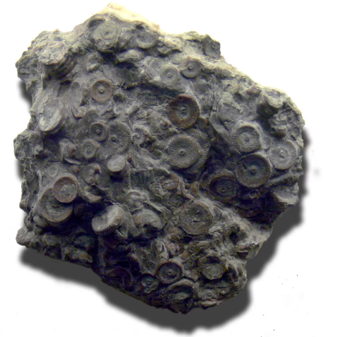 Фото загадочного предмета