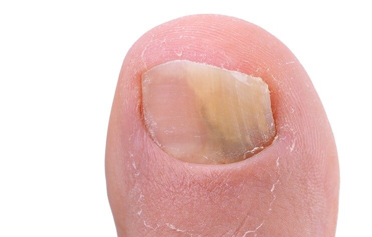 взято с открытых источников для демонстрации.