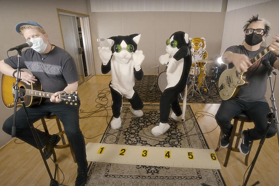 Фото из открытого источника Яндекс Картинки