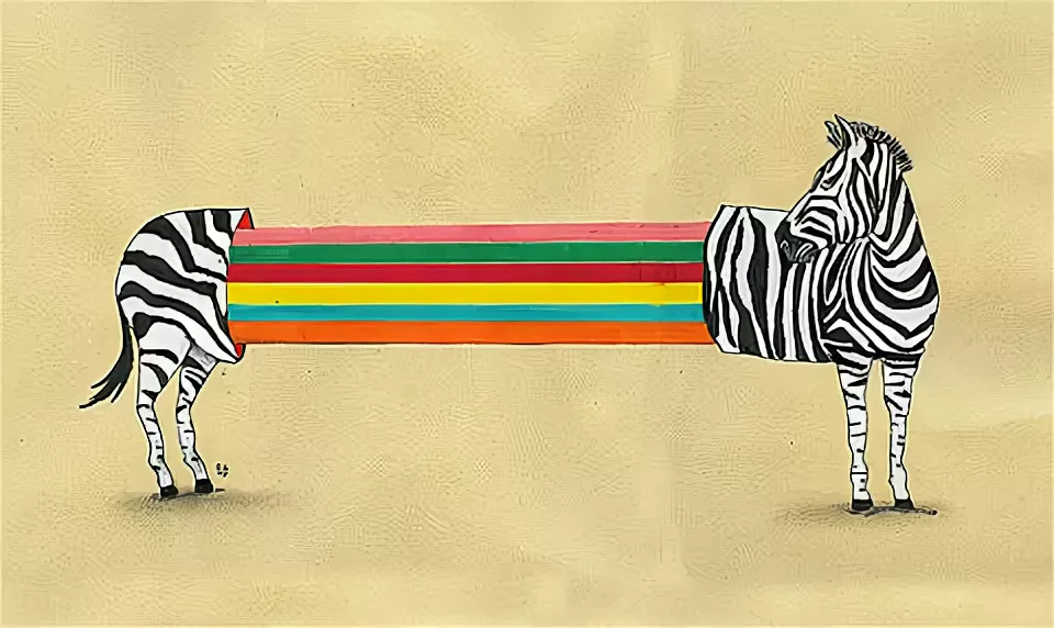 Life zebra. Цветная Зебра. Разноцветная Зебра. С днём рождения Зебра. Жизнь полосатая.