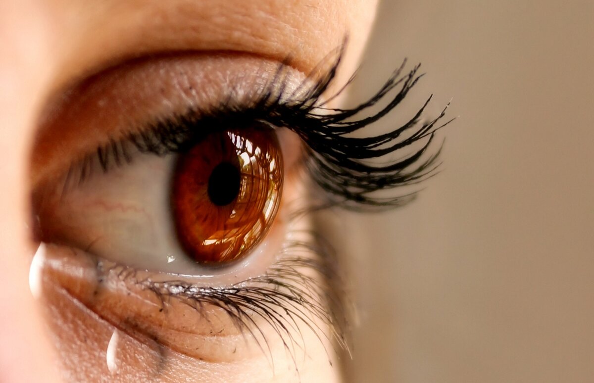 Замуж за москвича