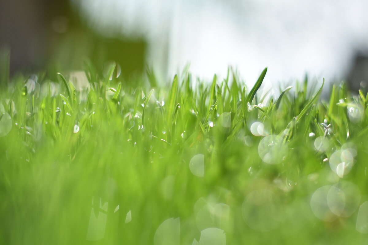 Фото автора, 11. 05.20