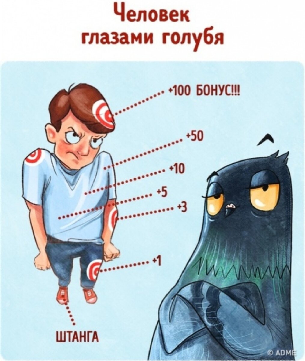 Птица с глазами спереди. Голубиный клюв. Эти глазки эти голубы. Эти глазки эти голубы. Эти глазки эти голубы.