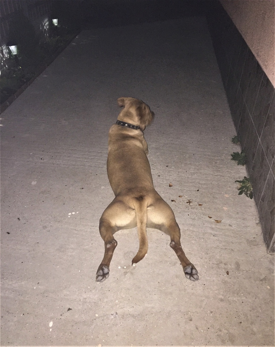 Фото из личного архива.