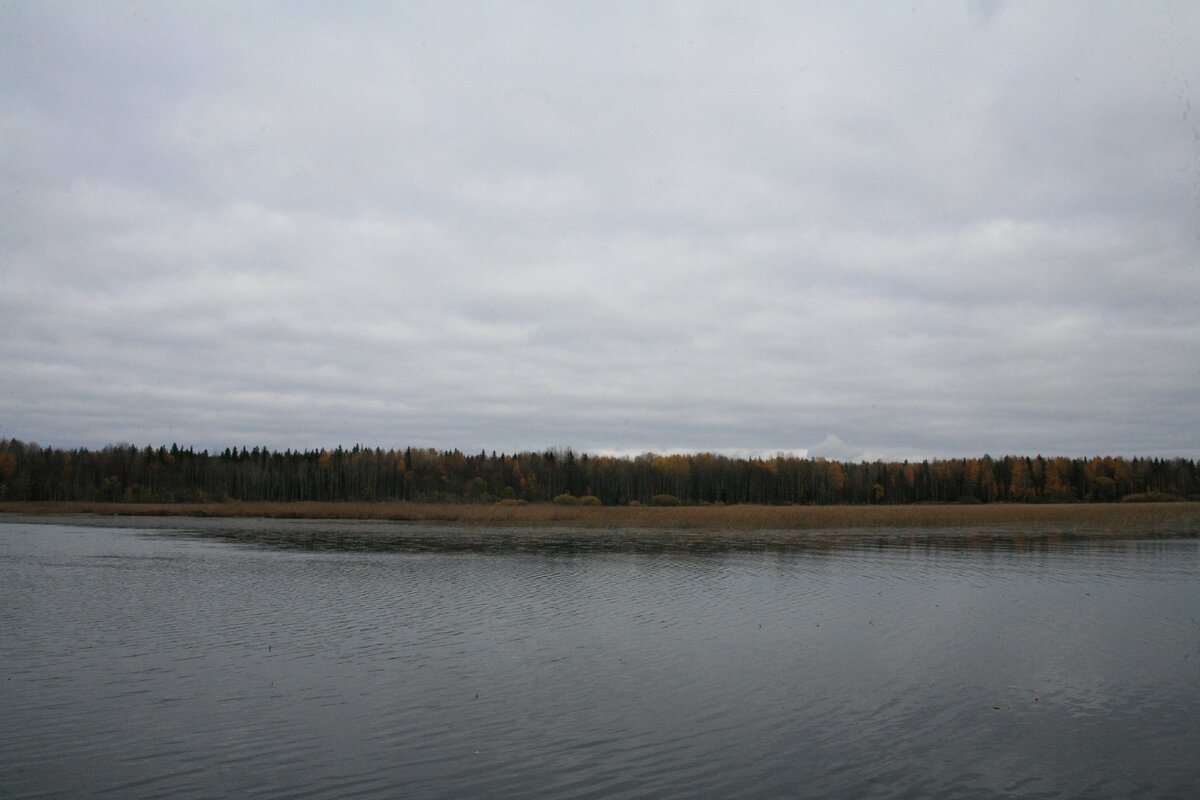 Фото автора.