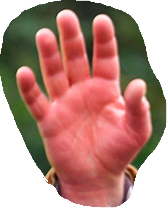 Фрагмент фото, источник указан в статье 