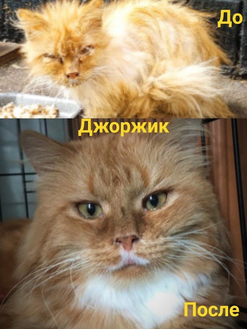 Группа помощи https://vk.com/club195959605