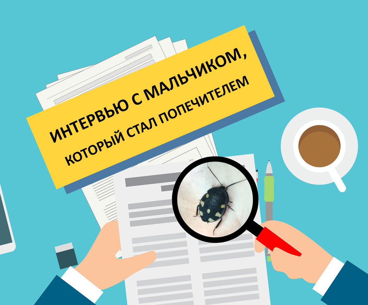 Таракан домино. Лев увлекается :)