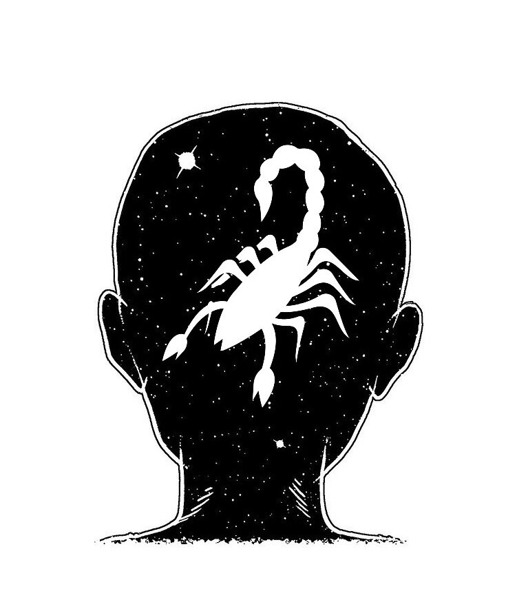 Изображение с сайта pixabay.com. Спасибо Cdd20  и xiclography.